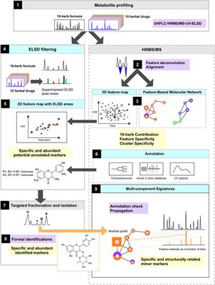 A Mass Spectrometry Based Metabolite Profiling Workflow for Selecting Abundant Specific Markers and Their Structurally Related Multi-Component Signatures in Traditional Chinese Medicine Multi‐Herb Formulae